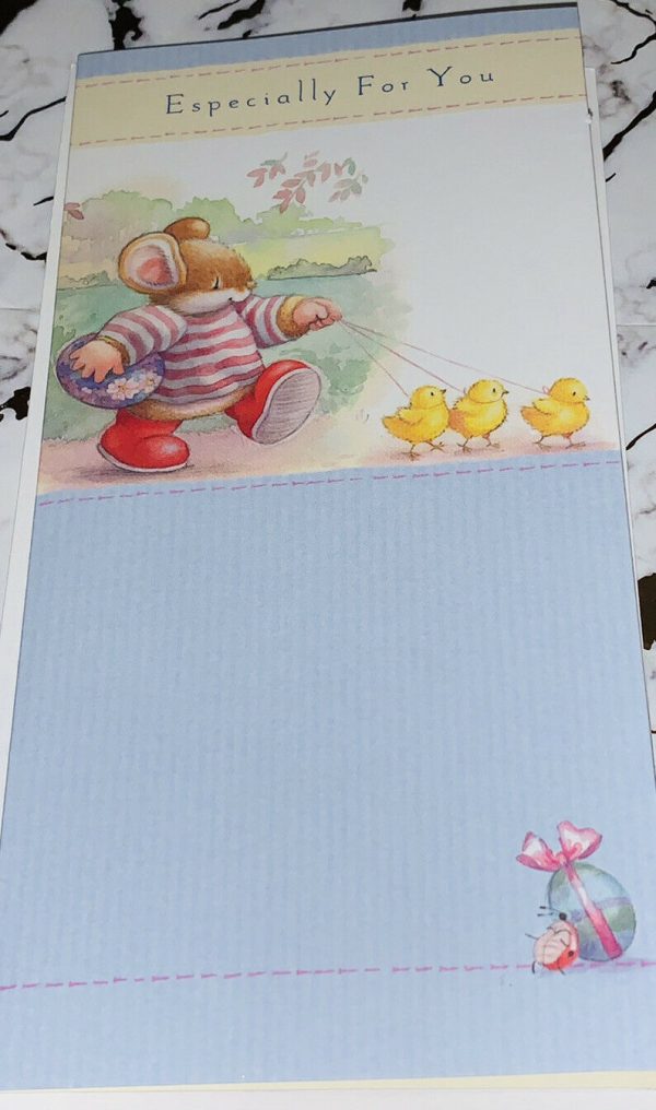 Easter Money Envelopes 2 Pack Bright Cute Fun Design by Country Companions - Hallmark 437530