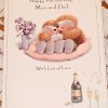 Happy Anniversary Mum & Dad Card Cute Fun Design by Country Companions - Hallmark 513609