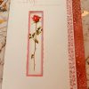 Wife Anniversary Card Beautiful Roses Design by Hallmark 330770