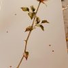Wife Anniversary Card Beautiful Roses Design by Hallmark 330770.1